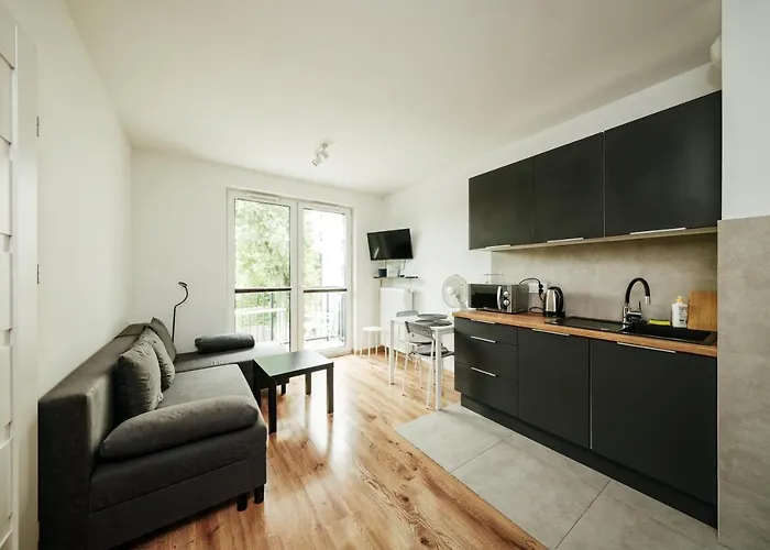 Wygodny Apartament Niedaleko Centrum, Free Parking, Air Condition