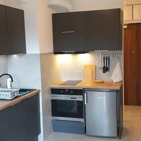 Wygodny Apartament Niedaleko Centrum, Free Parking Krakow Exterior photo