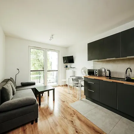 Wygodny Apartament Niedaleko Centrum, Free Parking Krakow Exterior photo